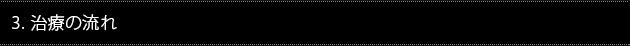3. 治療の流れ